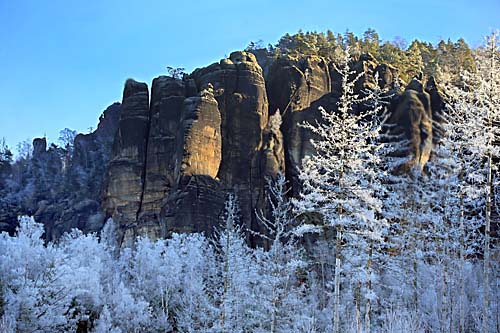 Frost im Elbsandstein